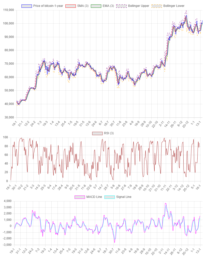 1-Year Chart for Bitcoin