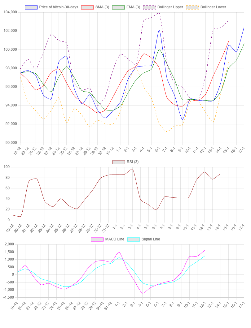1-Month Chart for Bitcoin
